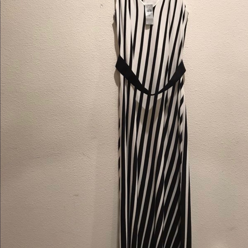 Ann Taylor Dress
